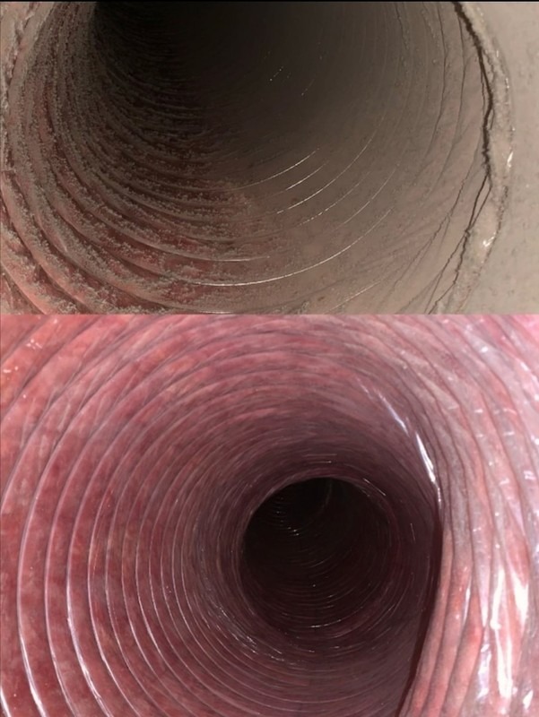 gallery grid image